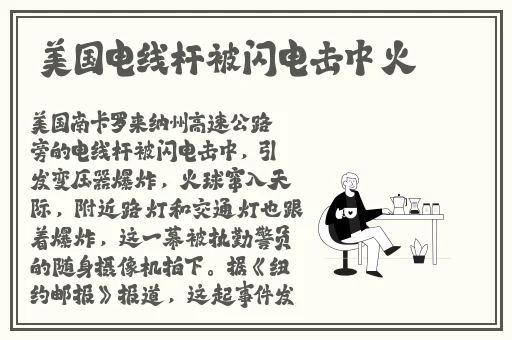 **在线播放